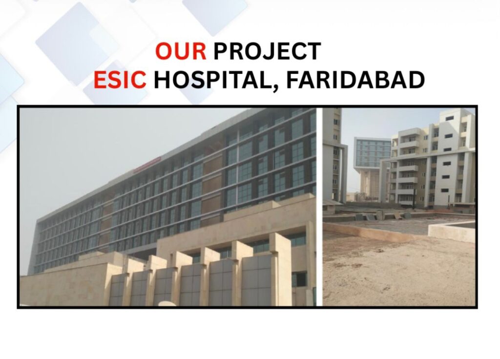 Our Projects